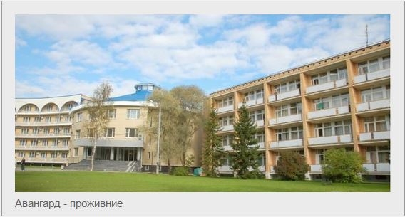 Снимок6