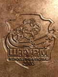 НСО, р.п.Чик. ХК"Штурм-2005"