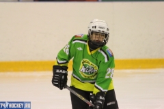 gazovik-2000 vs kedr novouralsk 24-2 06-11-2011 16 20111106 1661165781