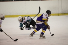 IMG 4685