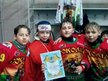 Соколы-Союз