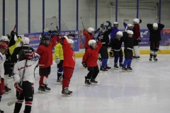 сборы 2015