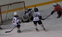 DSC02178-1