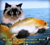 котя с рыбкой