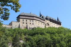 IMG 0501