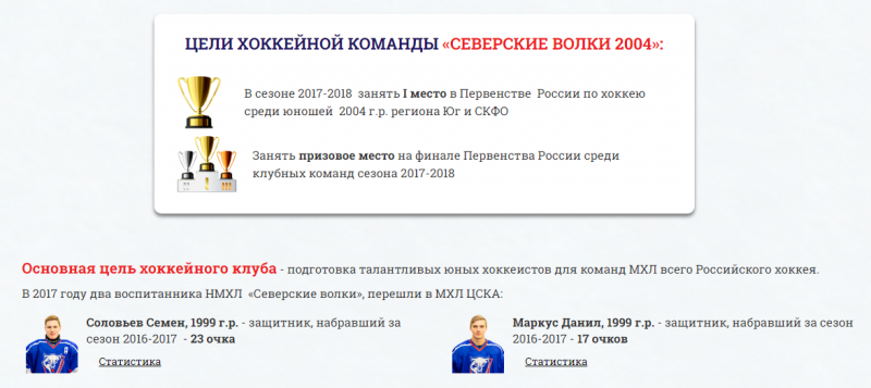 Цели команды
