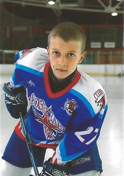 Созв - Чесноков 2011