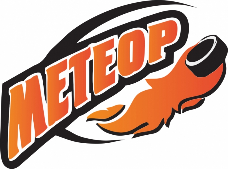 метер 2011
