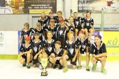 challenge cup 6