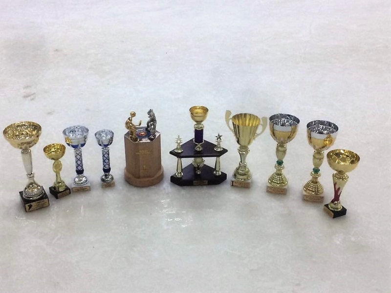 Кристалл 2009-2010г.