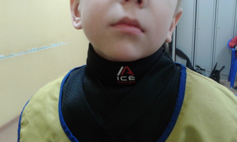 IceArmor Russia
