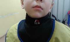 IceArmor Russia