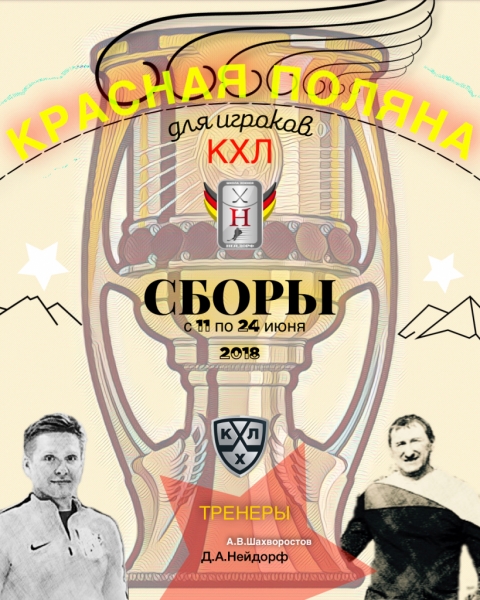 Хоккейные сборы для детей и взрослый в Сочи