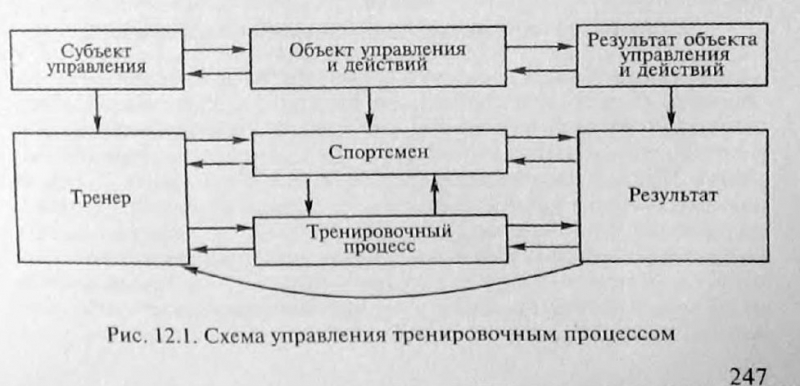 Схема управления тренировочным процессом