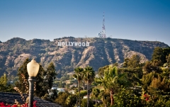 LA