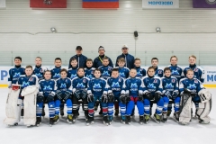 2008 общая