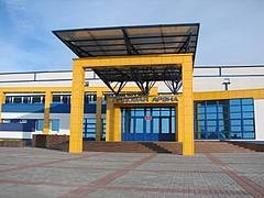 arena-kobrin1