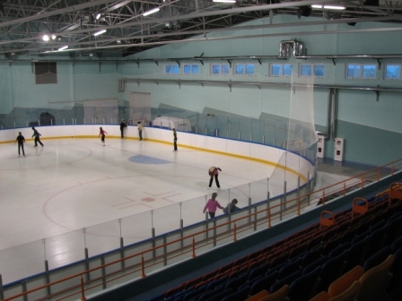 arena-kobrin2
