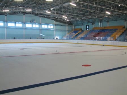 arena-kobrin4