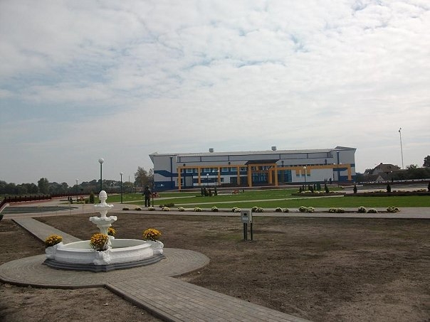 arena-kobrin5