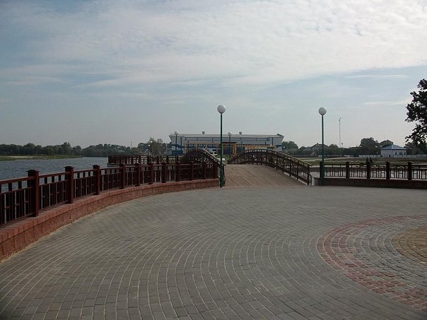 arena-kobrin9