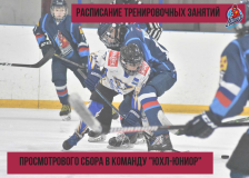 _СЕЙВ_ - индивидуальная подготовка юных хоккеистов