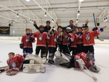 RF-Hockey