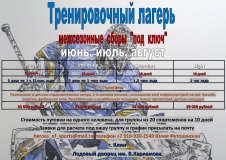 пакеты льда