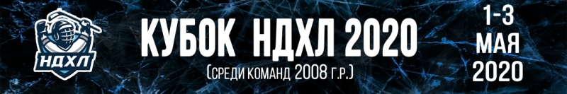 Кубок 2008