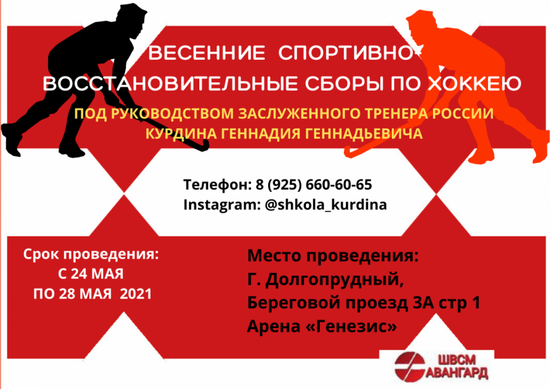 ВЕСЕННИЕ СПОРТИВНО-ВОССТАНОВИТЕЛЬНЫЕ СБОРЫ ПО ХОККЕЮ