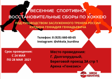 ВЕСЕННИЕ СПОРТИВНО-ВОССТАНОВИТЕЛЬНЫЕ СБОРЫ ПО ХОККЕЮ