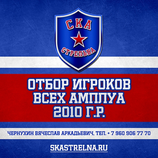 Отбор игроков 2010