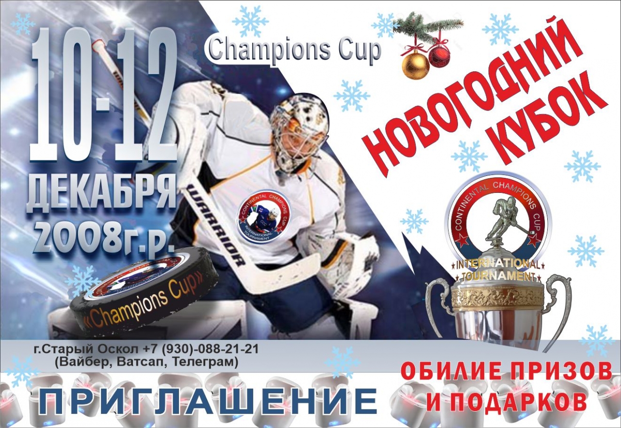 2008 • 10-12 декабря "Новогодний Кубок"