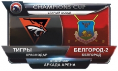 Тигры Красн-Белгород 2