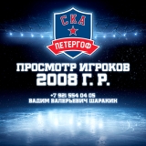 Просмотр игроков СКА-Петергоф 2008