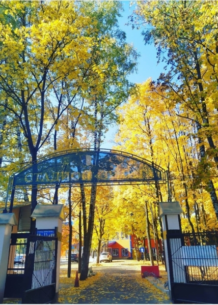стадион Зенит