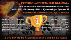 огнгеная шайба 04.01
