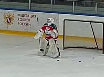 Мирон в воротах г.Дмитрова
