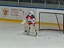 Мирон в воротах г.Дмитрова