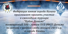 Турнир 2013 Динамо 100