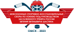 ЭМБЛЕМА_A3_Shastin_2023_1
