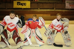 наши воротчики в 2010г