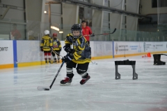 PDI_4572.JPG