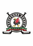 Logo_Hokei_Federaciya_Kazan