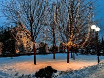 IMG_20231208_102329_378