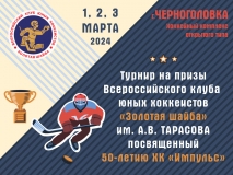 Турнир "Золотая шайба"
