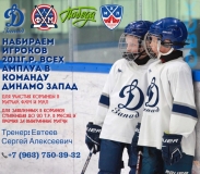 Динамо2011