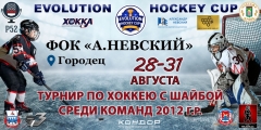 баннер 28-31 городец
