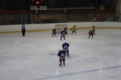 IMG 3637