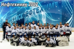 Нефтехимик-2002 Нижнекамск